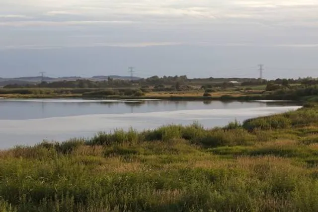 Årslev Engsø