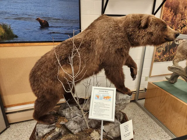 Werner Wildlife Museum at Casper College