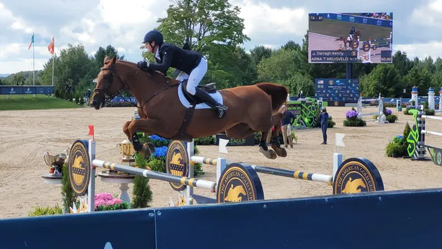 Traverse City Horse Shows at Flintfields Horse Park