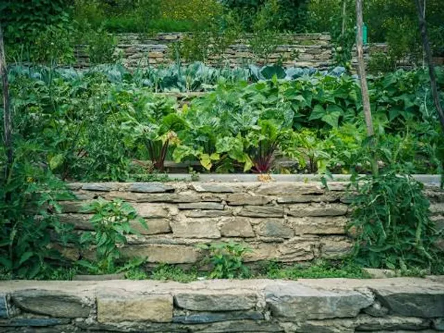 Vrchnostenská okrasná zahrada