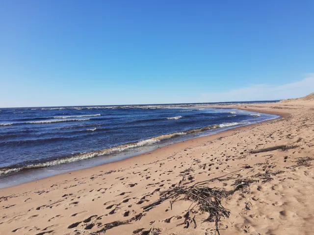 Gullbranna Naturreservat