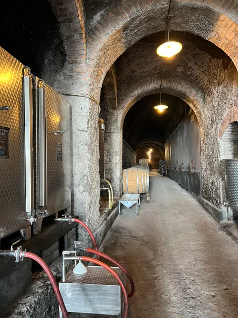 Cantina Stefanoni