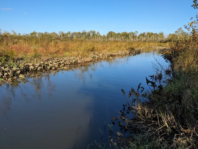 Patuxent Wetland Park
