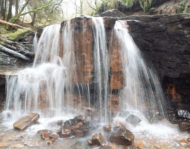 Jackhouse Nature Reserve