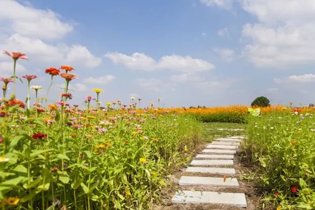 Muhi battle memorial