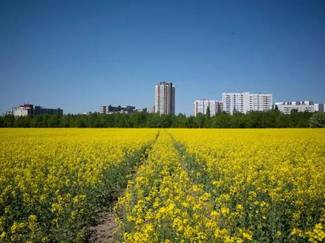 Hohhaus Museum Lauterbach e.V.