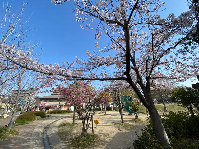 Morigu Park