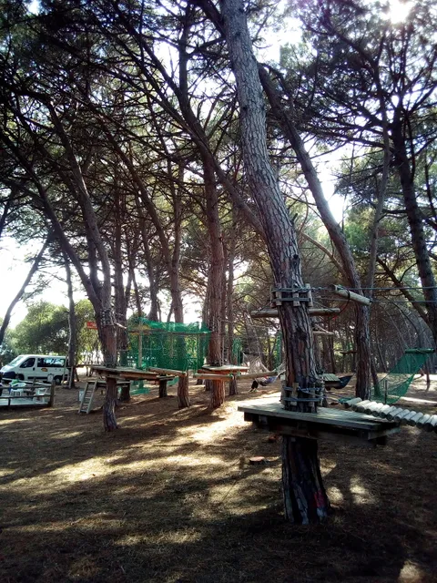 Park Adventure Bosco Isola