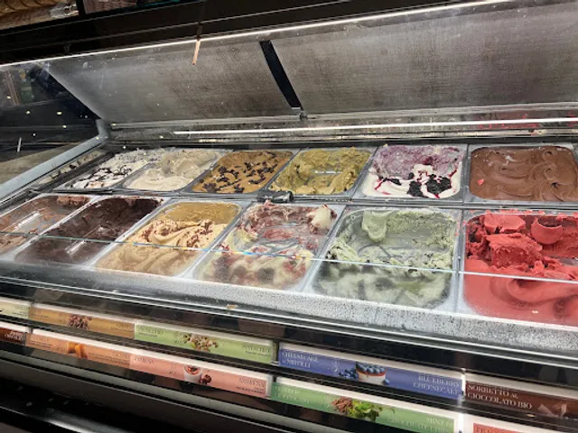 Amorino Gelato - Tampa