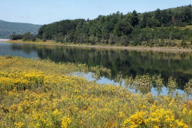 Mine Kill State Park