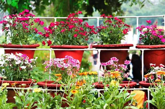 Maitri Bagh Zoo, bhilai, Chattisgarh