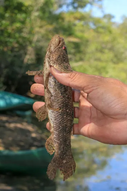 Crayon Shin-chan Adventure Park