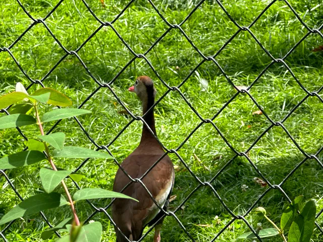 Gastronomie Carl Hagenbeck