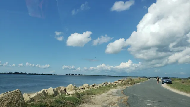 Saxis Wildlife Management Area