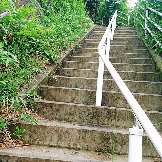 Suenagakumanomori Ryokuchi Park