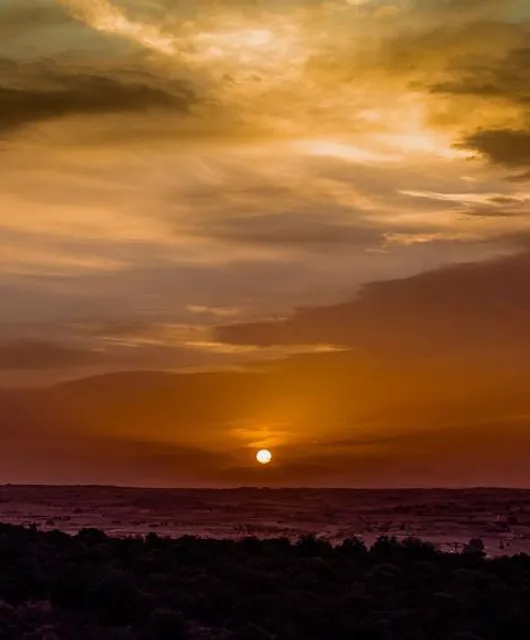 Parque Regional del Curso Medio del Río Guadarrama y su entorno