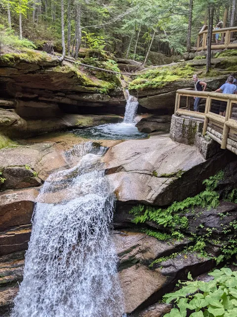 Effortless Adventure