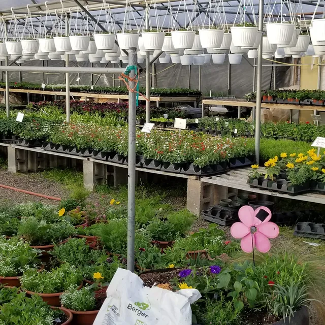 Southwest Garden Center & Landscp