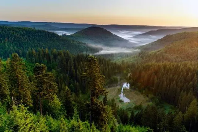 Aussichtsplattform Ellbachseeblick