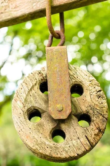 Timber Heritage Association