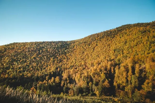 Domašínsky meander