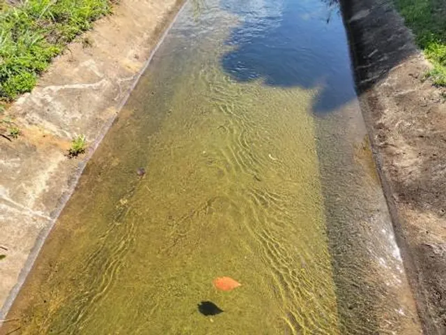 Cobourg Conservation Area