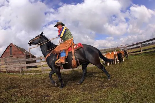 Várpark,Skanzen,Szentek Fala Dinnyés Guinness World Record