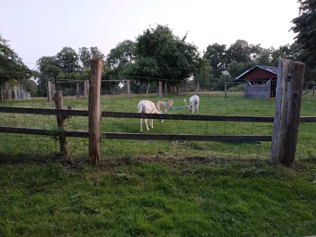 Tiergehege Uhlenkrog