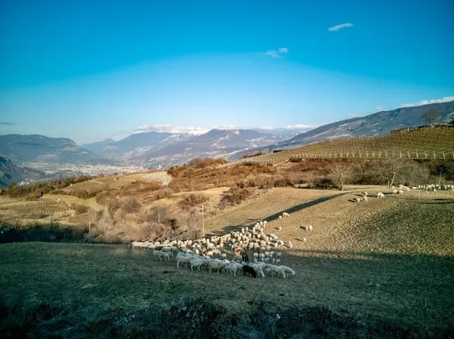 Altopiano di Brentonico