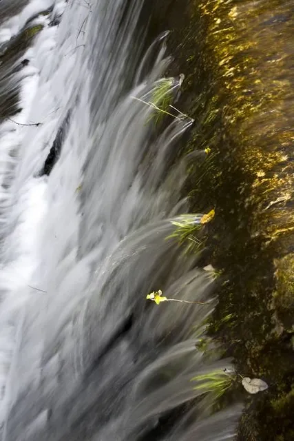Sorgenti del Fiume Verde