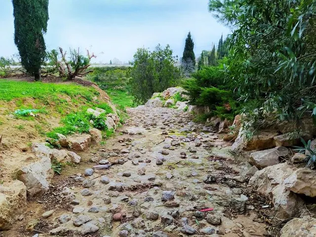 Municipality of Kaisariani