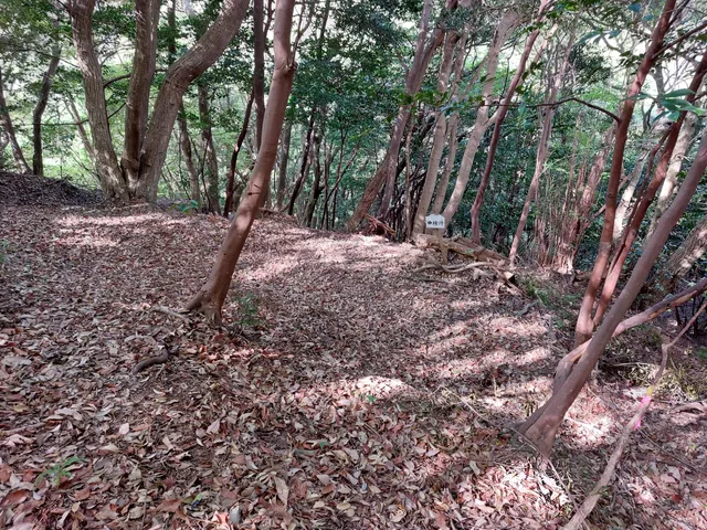 Iwami Castle Ruins