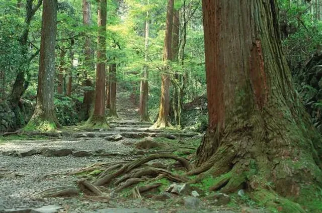 photo-2
