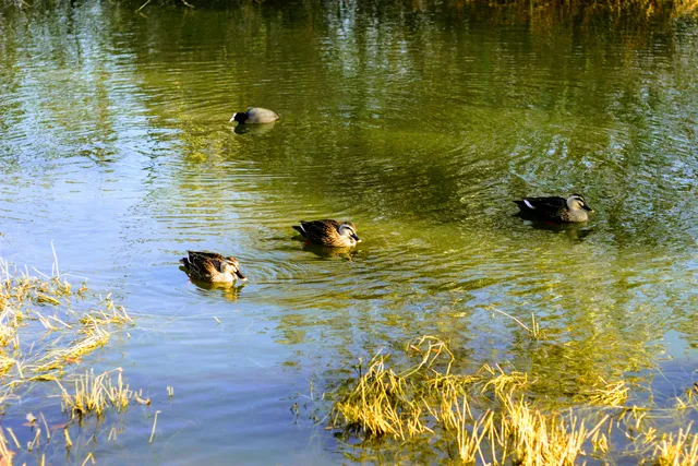 Chokushi Waterside Park