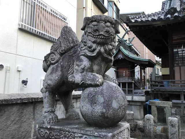 photo-2