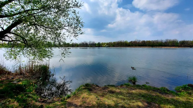 Nature and landscape Szopienice-Borki