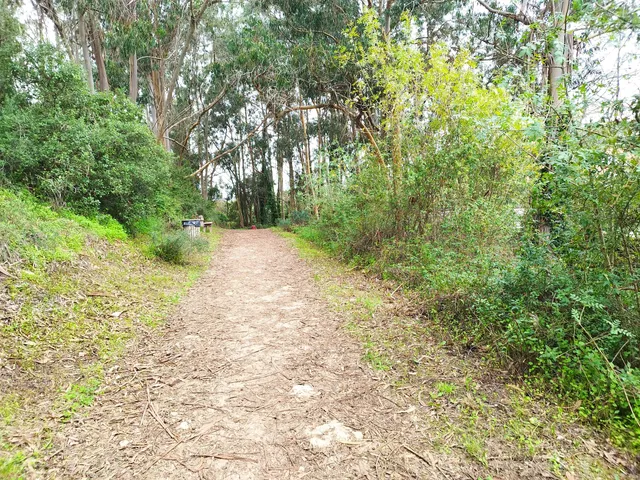 Park Rinchoa - Fitares