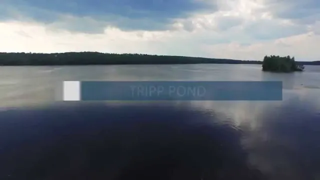 Tripp Pond