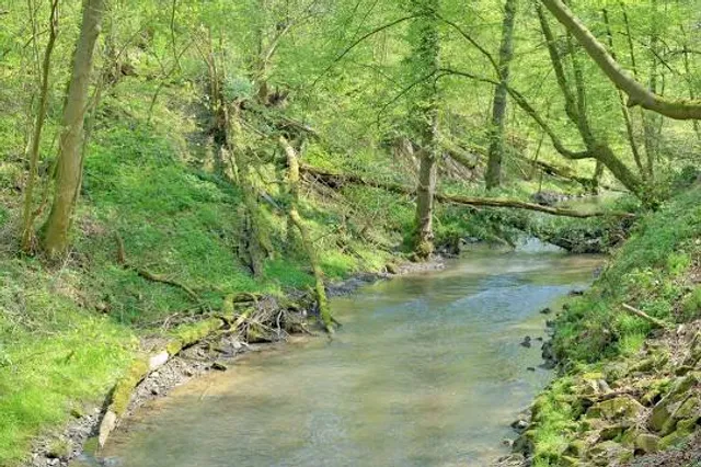photo-2
