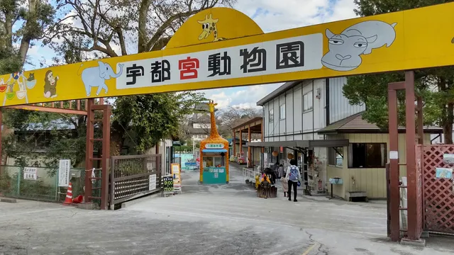 photo-3