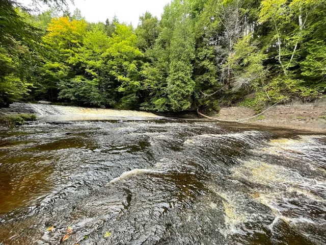 Park of the Gentilly river