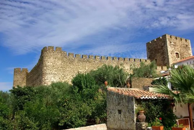 Castle of Terena