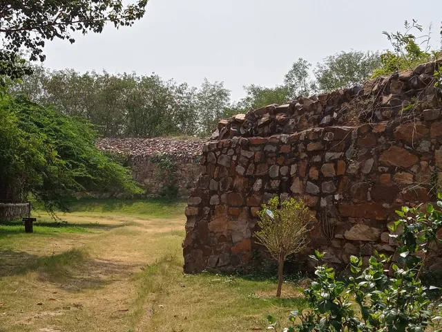 Qila Rai Pithora Fort Delhi