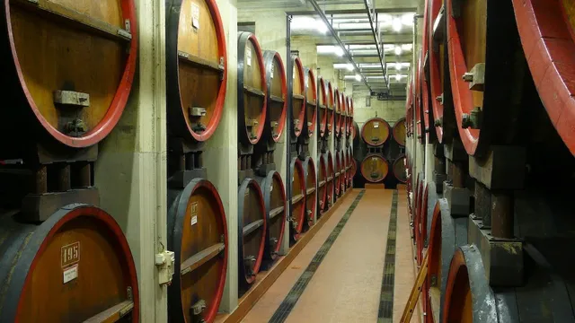 Casa Vinicola Triacca