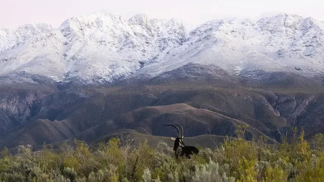 Swartberg Game Reserve
