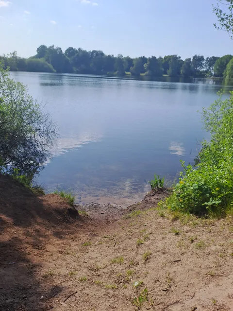 مصراوى الشامل