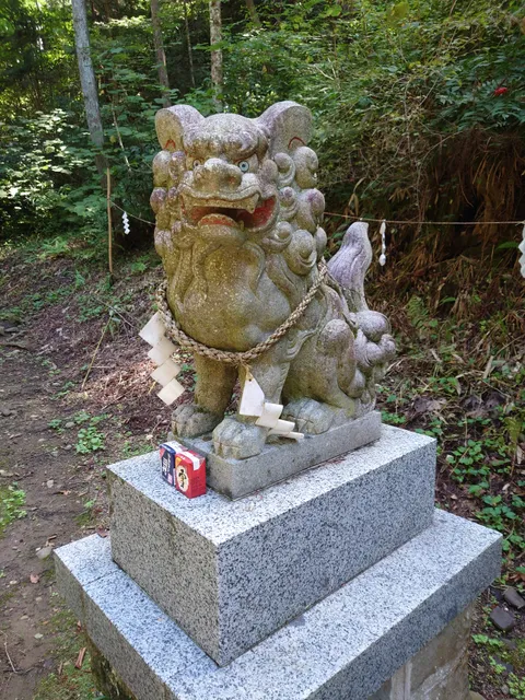 photo-1