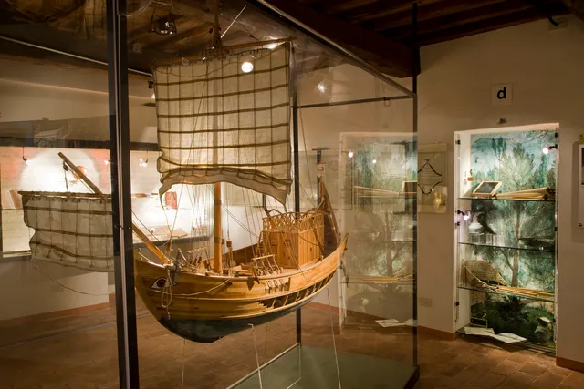 Olive and Oil Museum