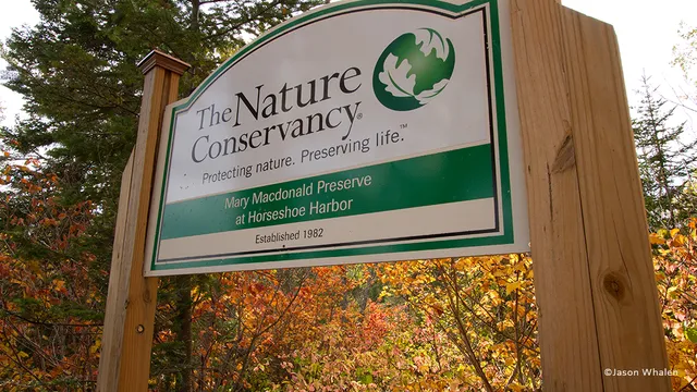 Mary Macdonald Preserve at Horseshoe Harbor