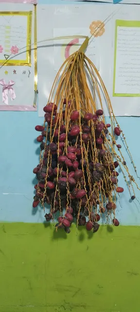 Saravan Local Museum